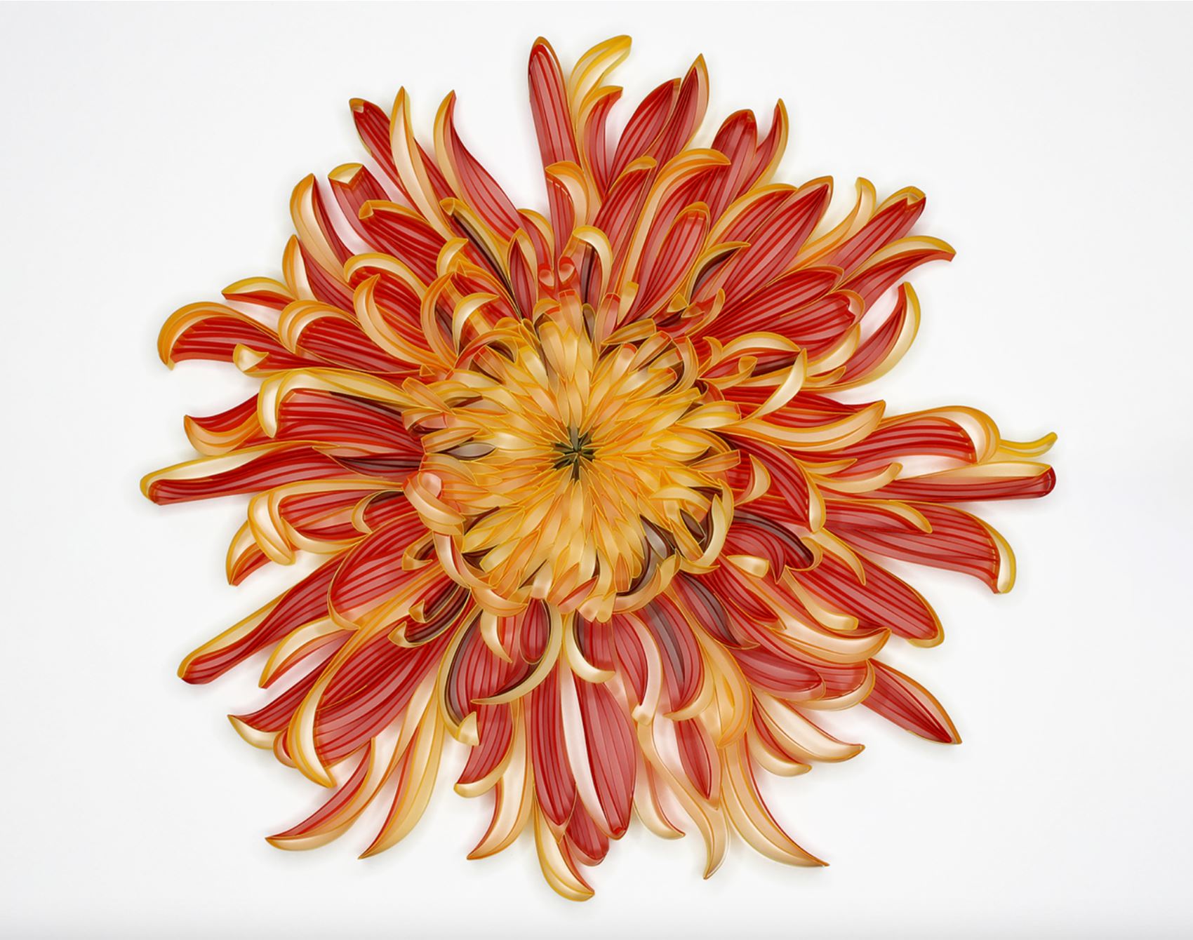 daphne lee creates stunning florals out of paper