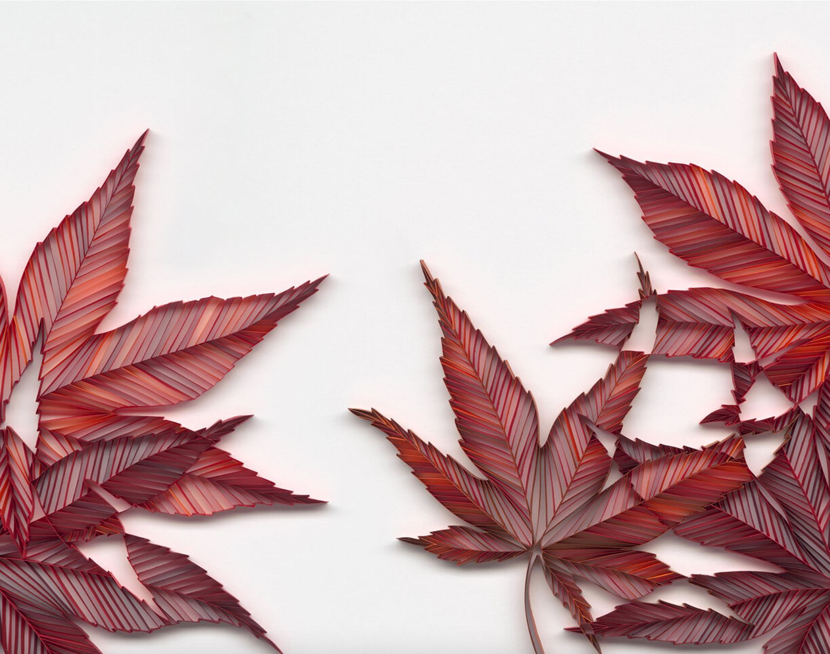 daphne lee creates stunning florals out of paper