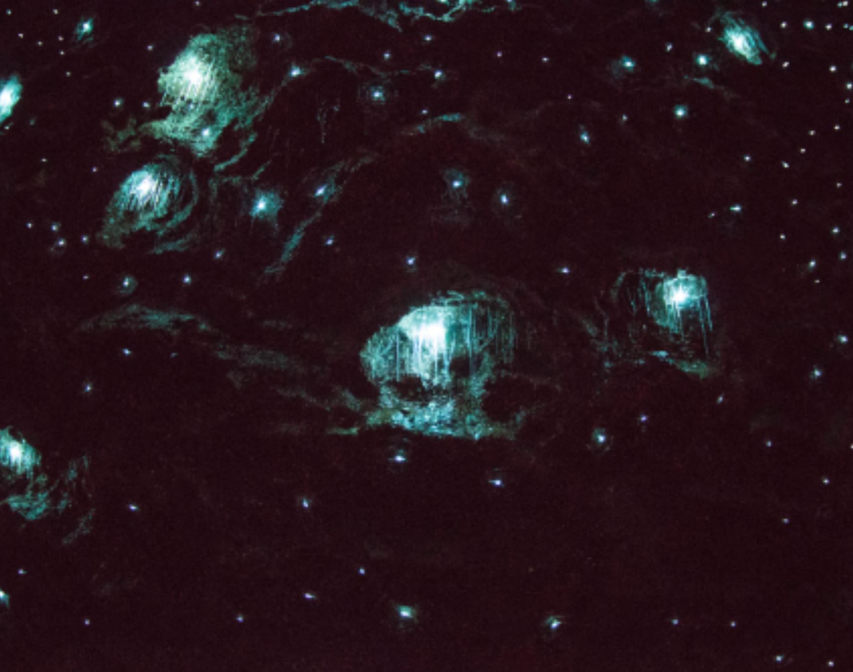 level up your weekdays with a swoon-worthy gold coast getaway