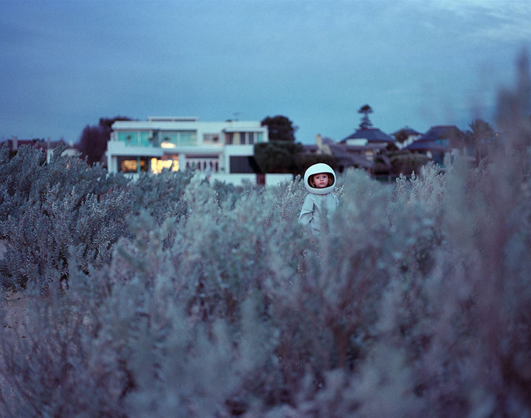 catching up with shutterbug andrew rovenko