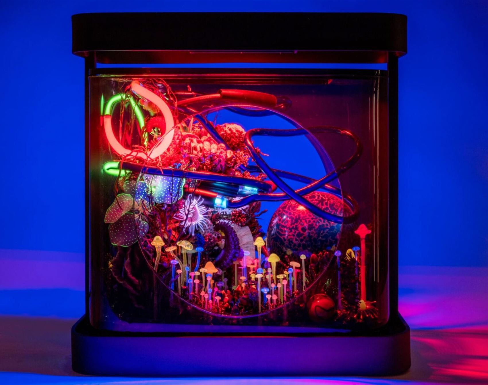 spy max hooper schneider’s otherworldly dioramas