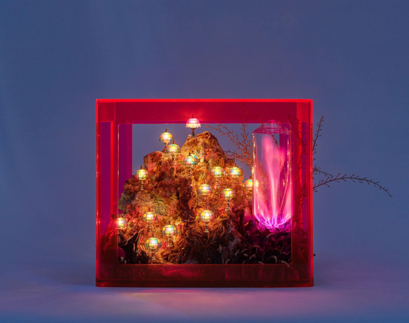 spy max hooper schneider’s otherworldly dioramas
