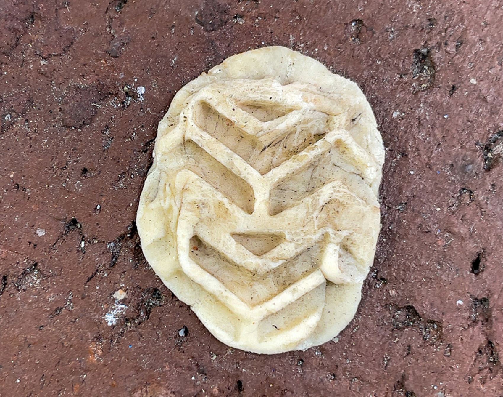 this photo series highlights the overlooked charm of discarded gum