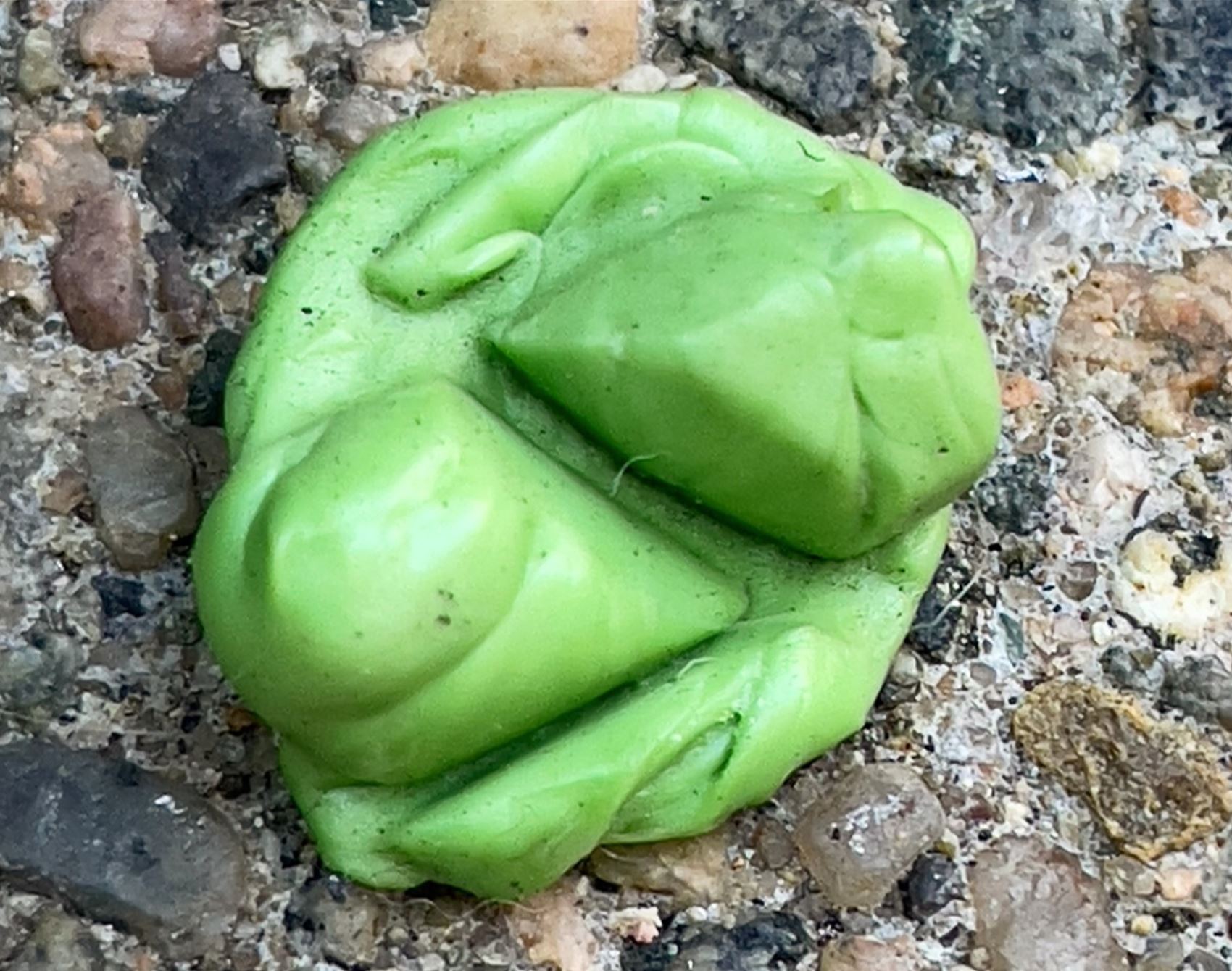 this photo series highlights the overlooked charm of discarded gum