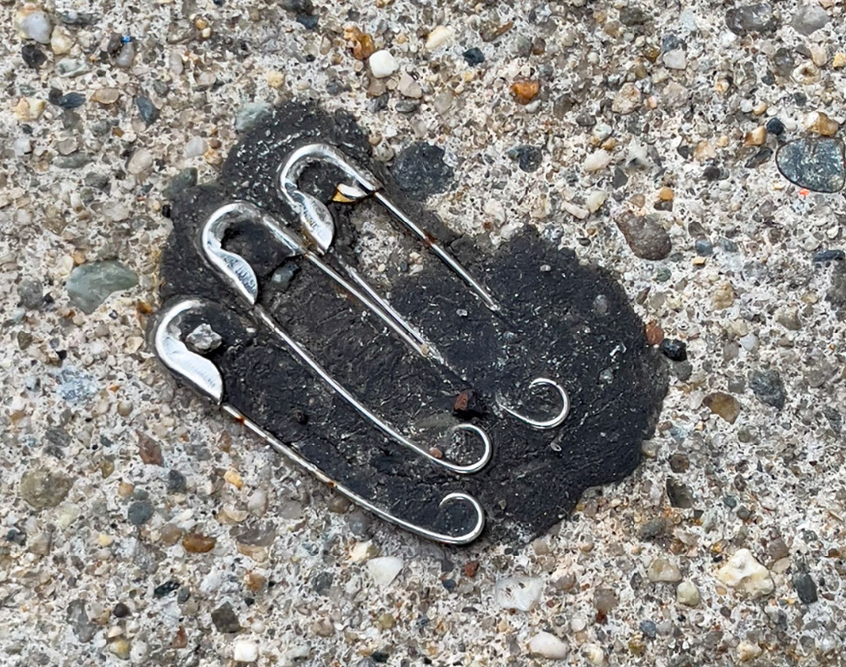 this photo series highlights the overlooked charm of discarded gum