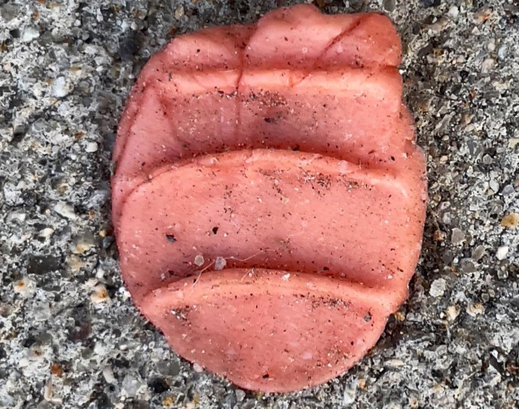 this photo series highlights the overlooked charm of discarded gum