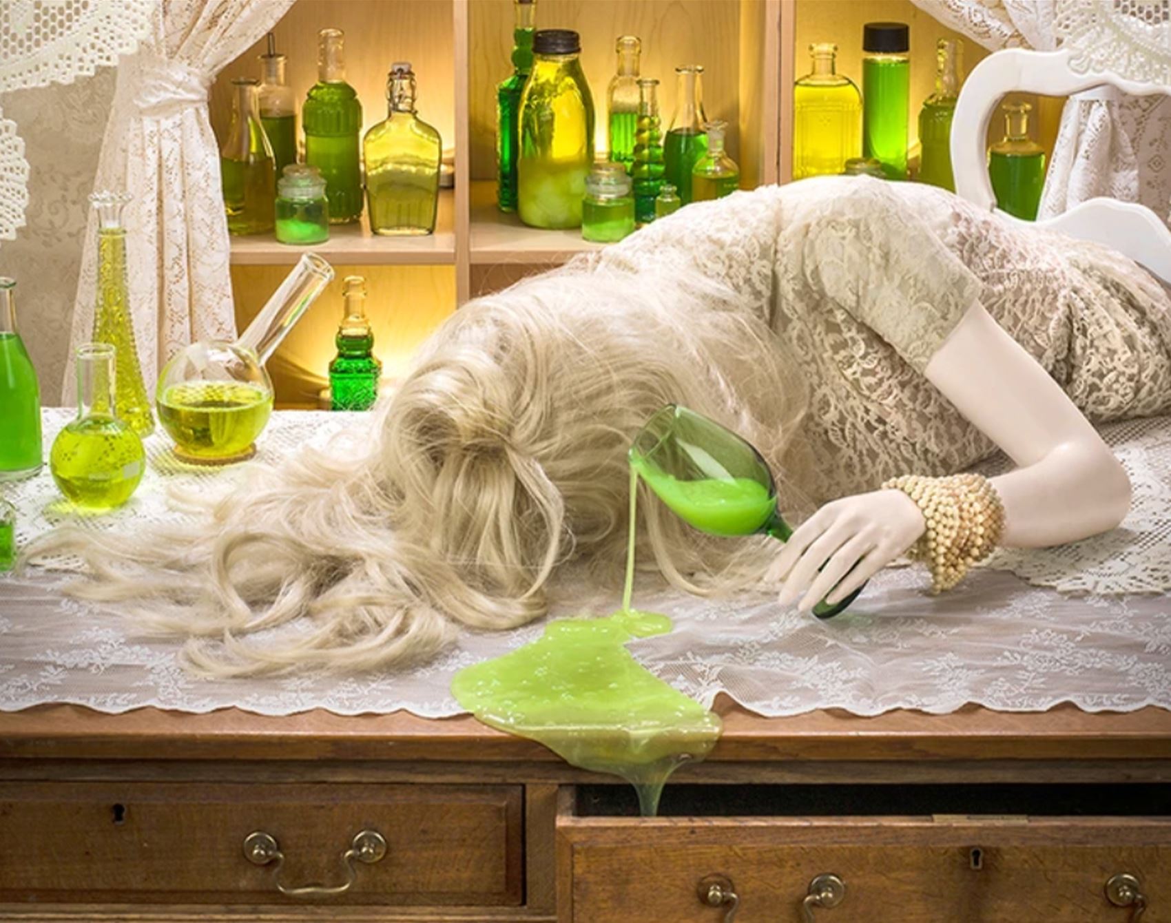 get a load of patty carroll’s satirical snaps