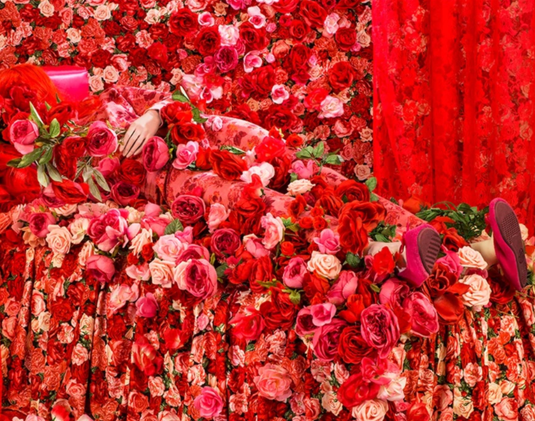 get a load of patty carroll’s satirical snaps