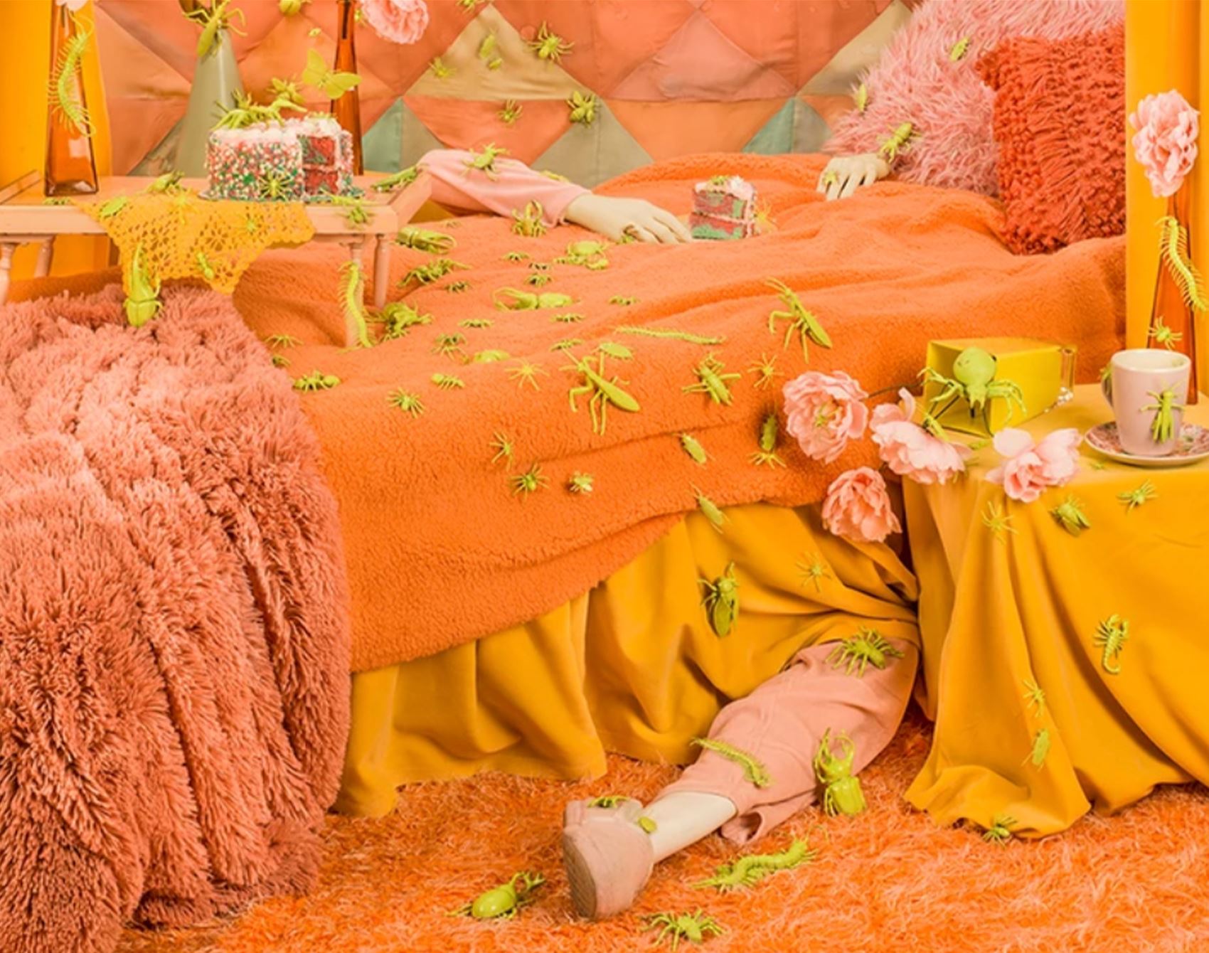 get a load of patty carroll’s satirical snaps