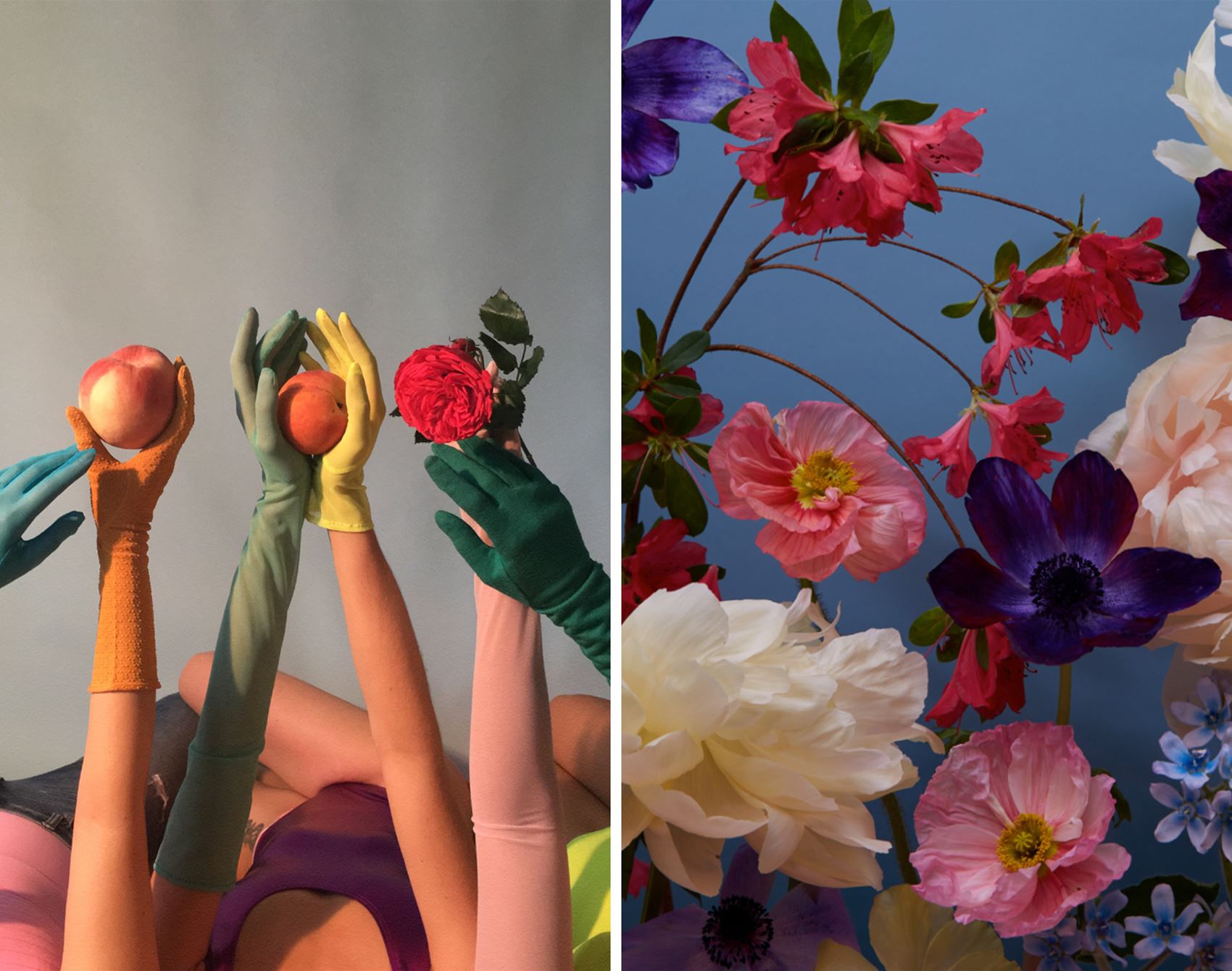 shutterbug doan ly snaps beautiful botanicals
