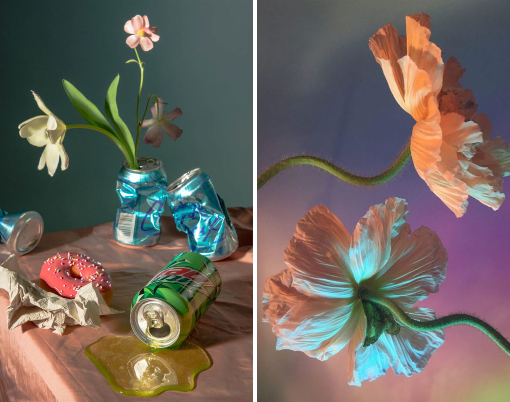 shutterbug doan ly snaps beautiful botanicals