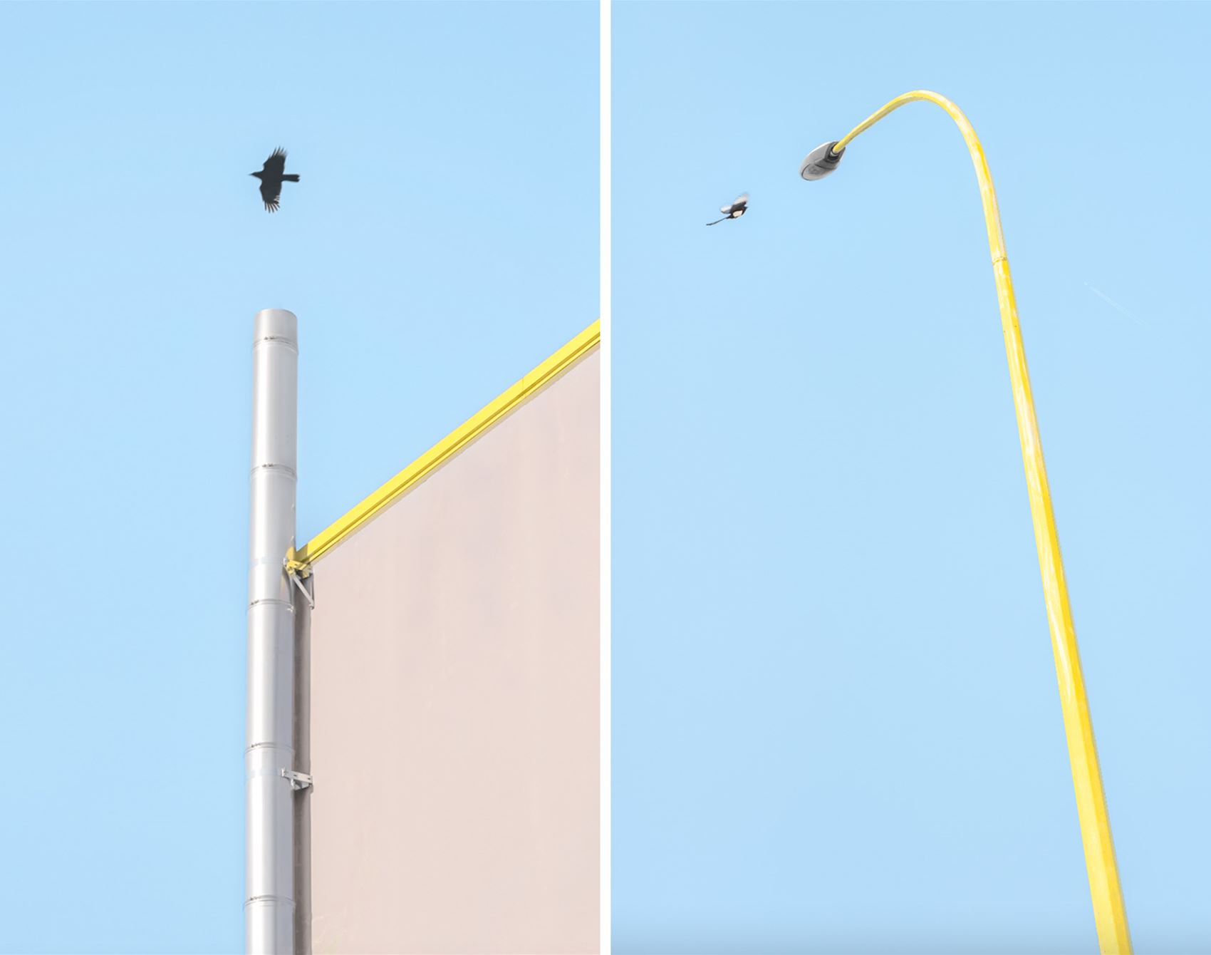 gaze at laura sanchez's minimalist snaps