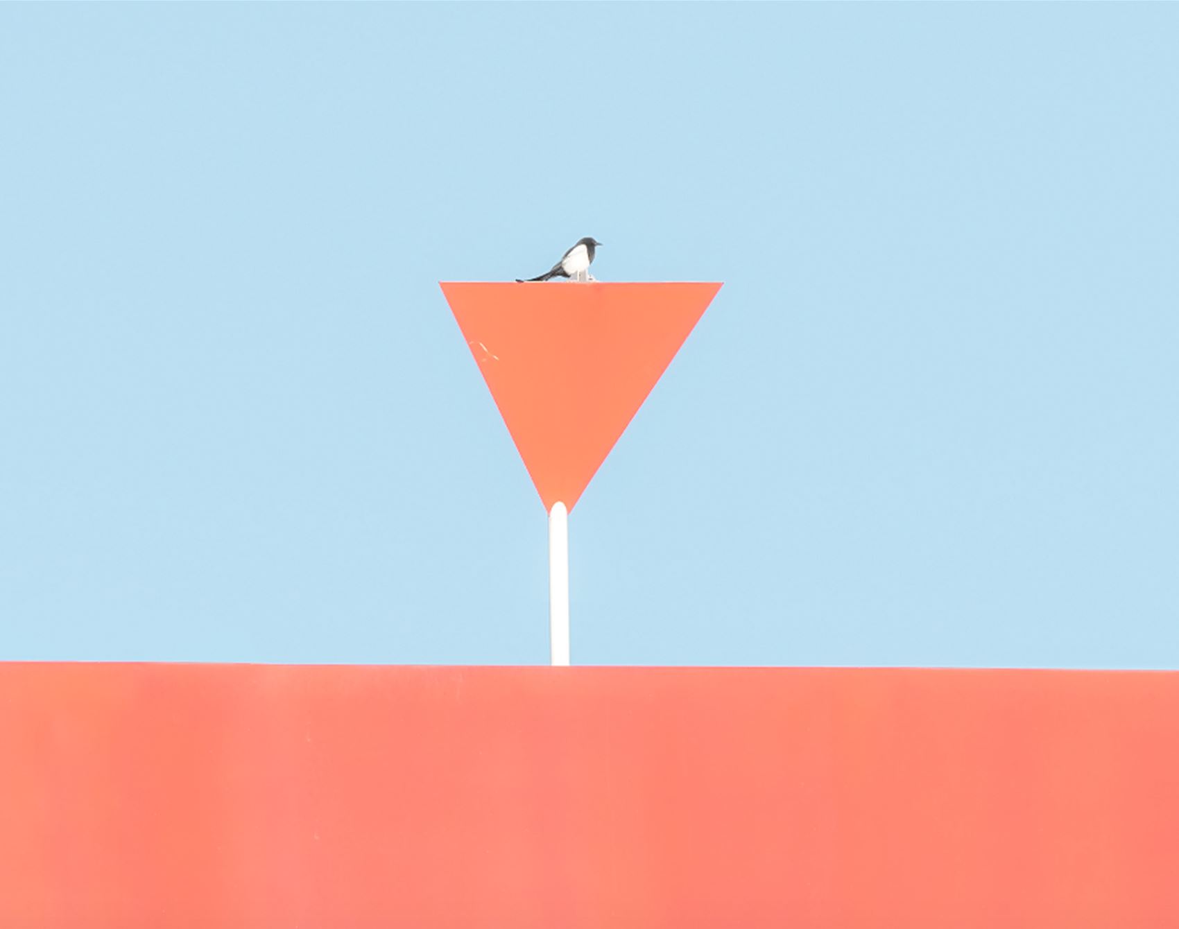 gaze at laura sanchez's minimalist snaps