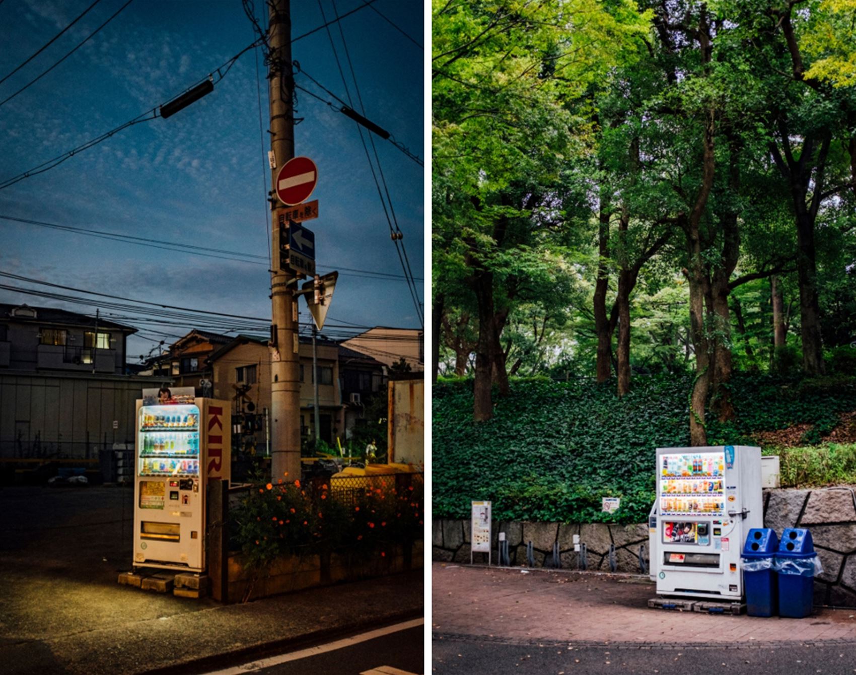 feast your eyes on natalie blom’s photography zines