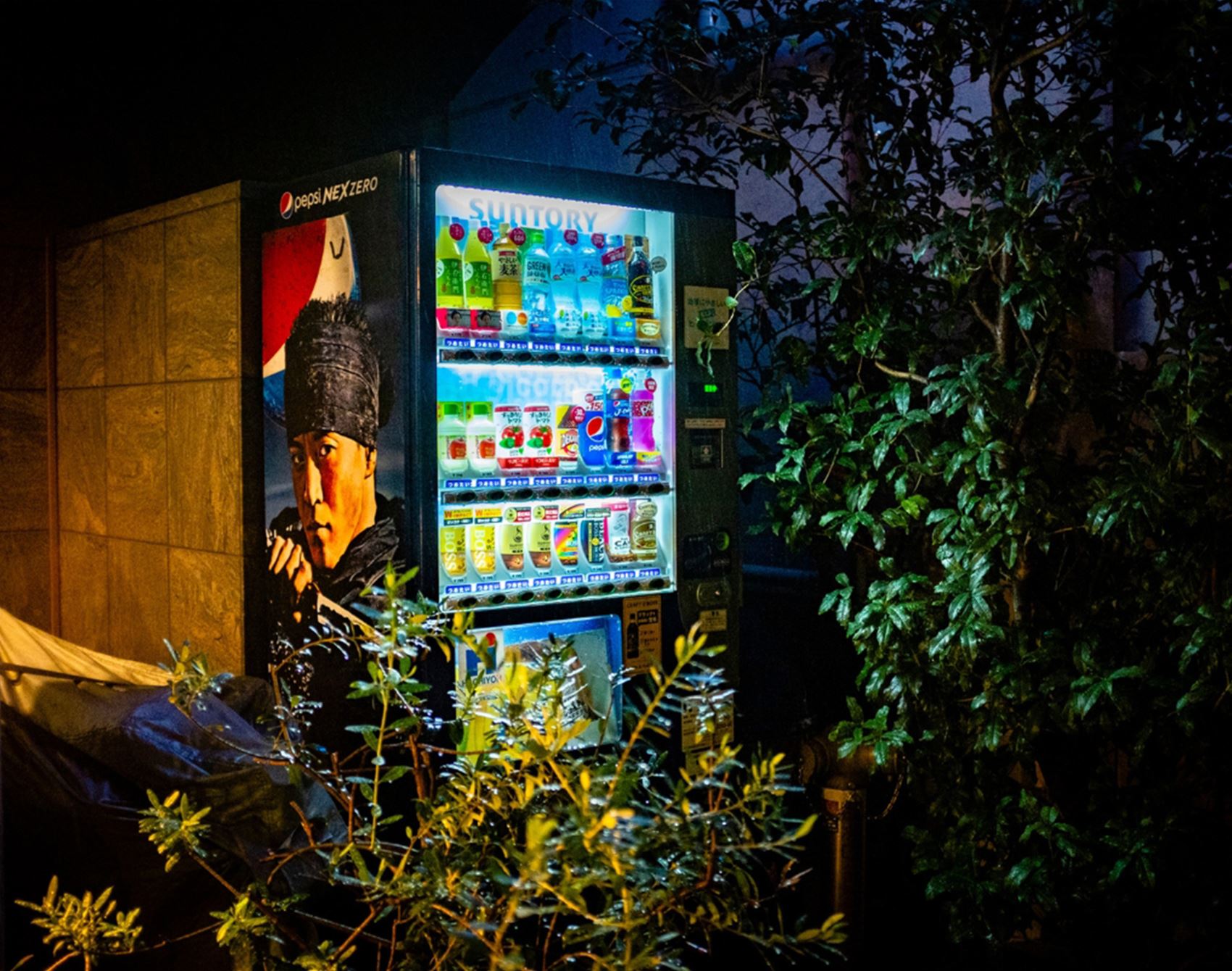 feast your eyes on natalie blom’s photography zines