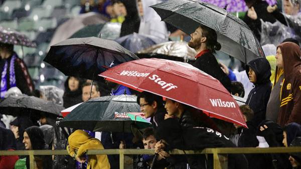 Pic special: Fans brave the wet to watch Chelsea train