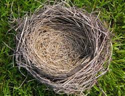 7 ways to rekindle your relationship when the kids move out