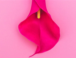 10 things that happen to your vagina after you stop having sex