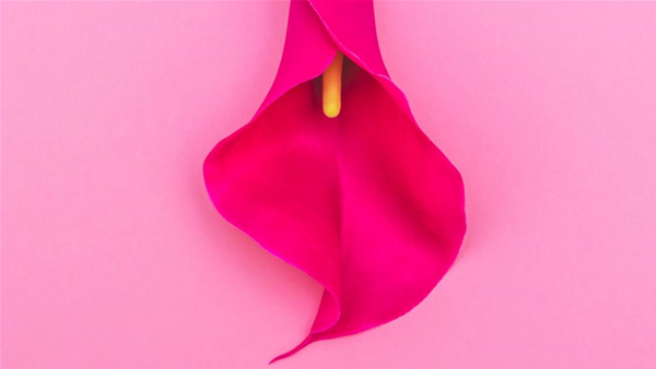 10 things that happen to your vagina after you stop having sex