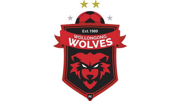 Wollongong Wolves boss quits months out from A-League decision