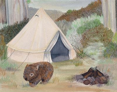 some nifty camping hacks