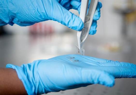 Aussie researchers develop flexible touchscreens that can be printed like newspaper