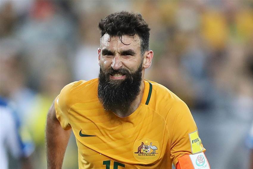Jedinak facing months on sidelines Jedinak facing months on sidelines