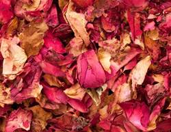 5 Foolproof Steps For Preventing Dry Skin