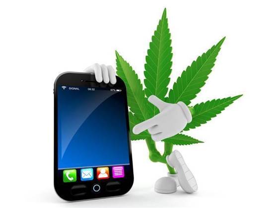 Google stubs out apps that facilitate sale of cannabis