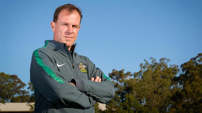 Anger as review bans Stajcic input