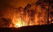 For sale: manager of Australian bushfires app