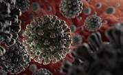 Two RSA conference attendees diagnosed with coronavirus