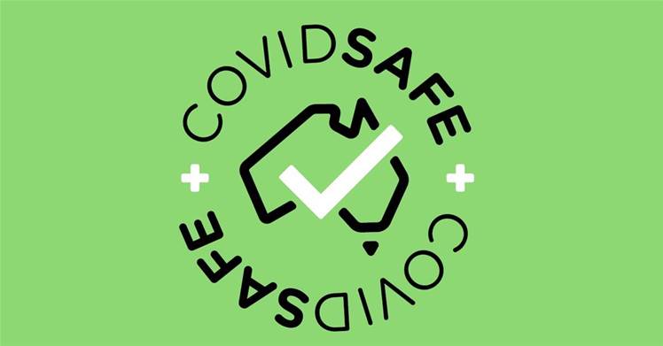 Govt unveils COVIDSafe contact tracing app bill