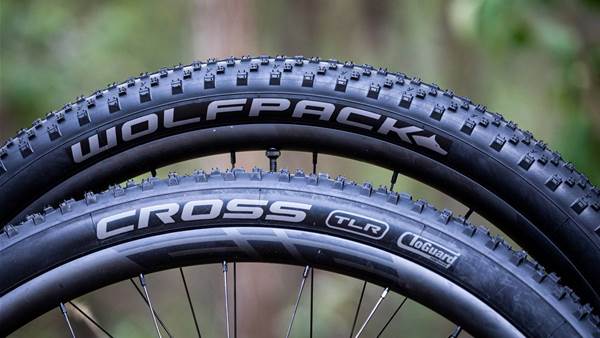 First rides on Wolfpack MTB tyres