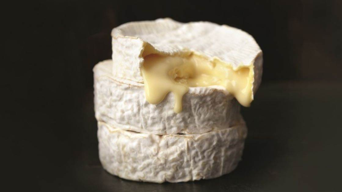 Good news! Cheese can boost your brain power