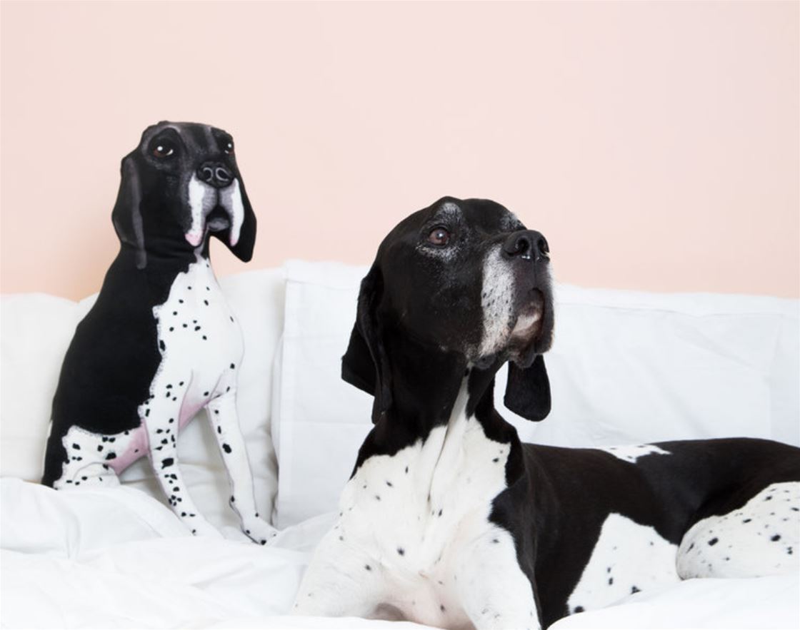 helen penny makes custom pet pillows helen penny makes custom pet pillows