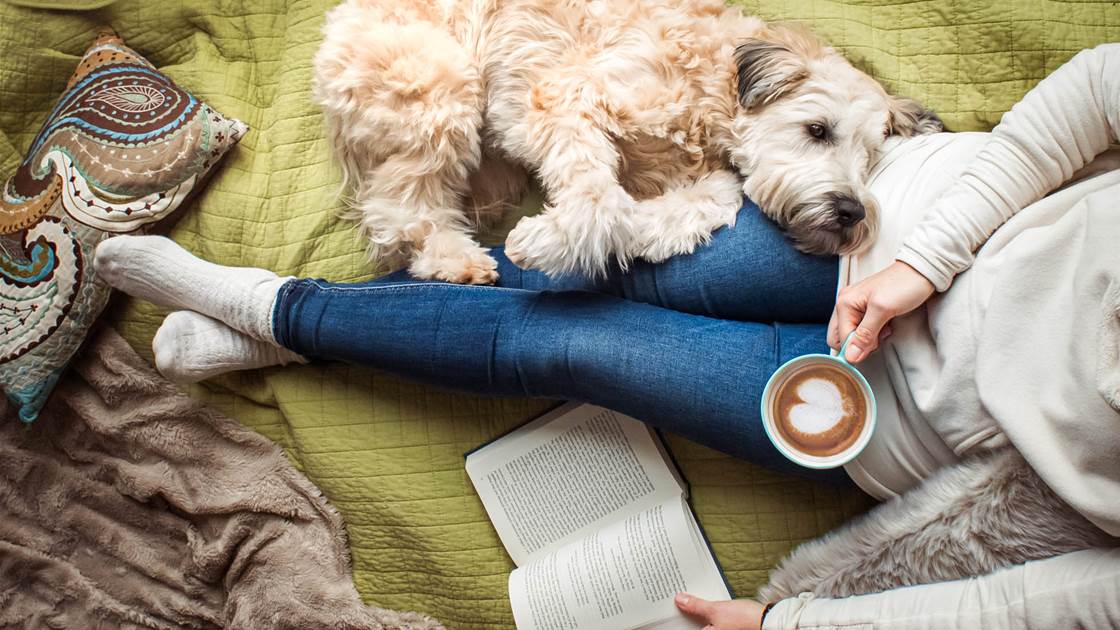 3 of the best books you need to read this winter