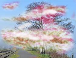 These Migraine Symptoms Signal You're Not Actually Having a 'Sinus Headache'