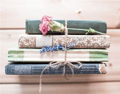 eight cracking reads to sink your teeth into this summer