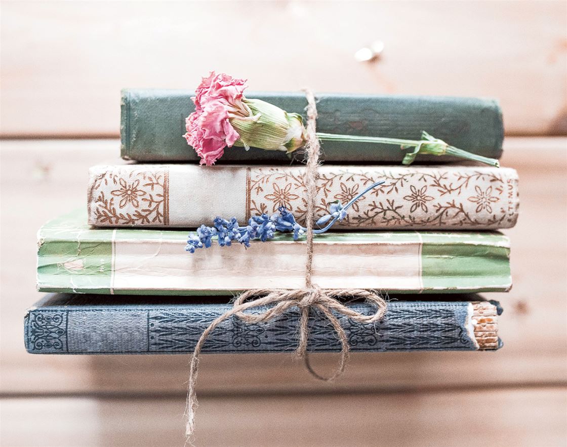 eight cracking reads to sink your teeth into this summer eight cracking reads to sink your teeth into this summer