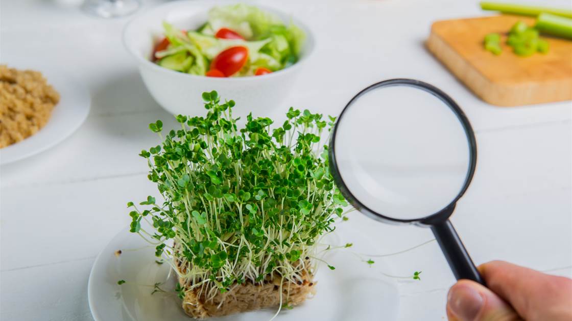 5 Myths About Food and Health You Should Really know about