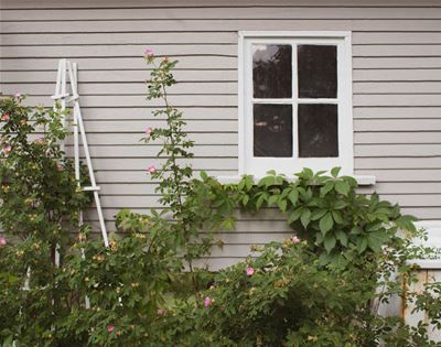 how to have an eco-friendly home when you’re renting