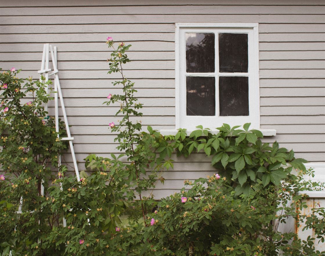 how to have an eco-friendly home when you’re renting how to have an eco-friendly home when you’re renting