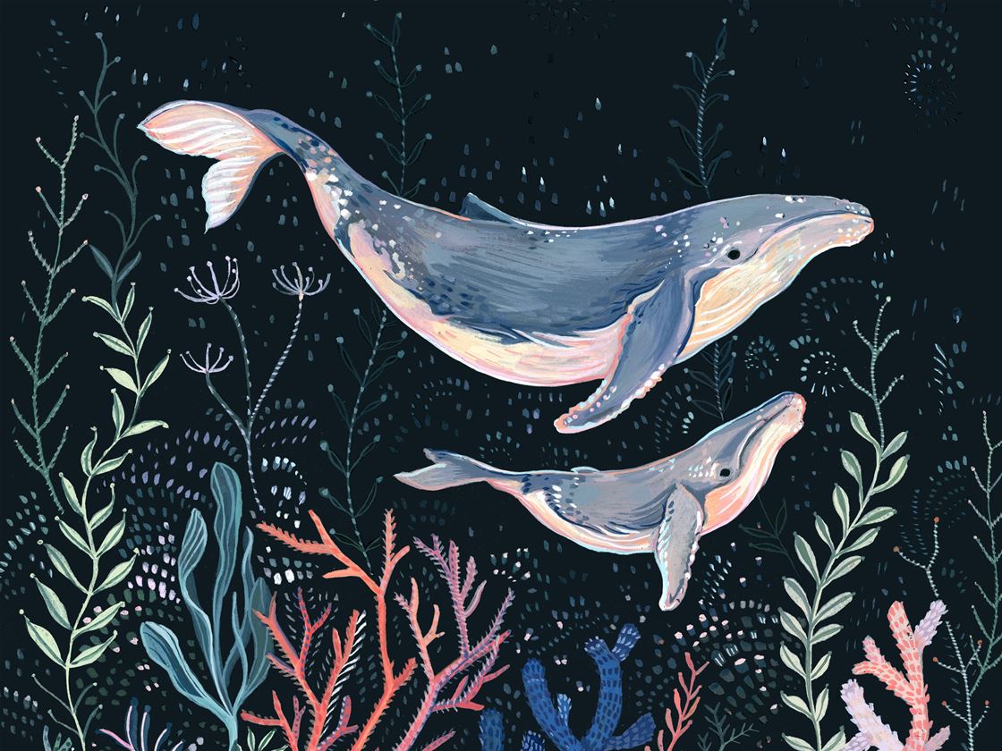 get to know our issue 112 cover artist, clara mcallister get to know our issue 112 cover artist, clara mcallister