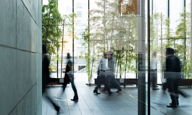 ASIC and ACCC had 5579 websites blocked in three weeks