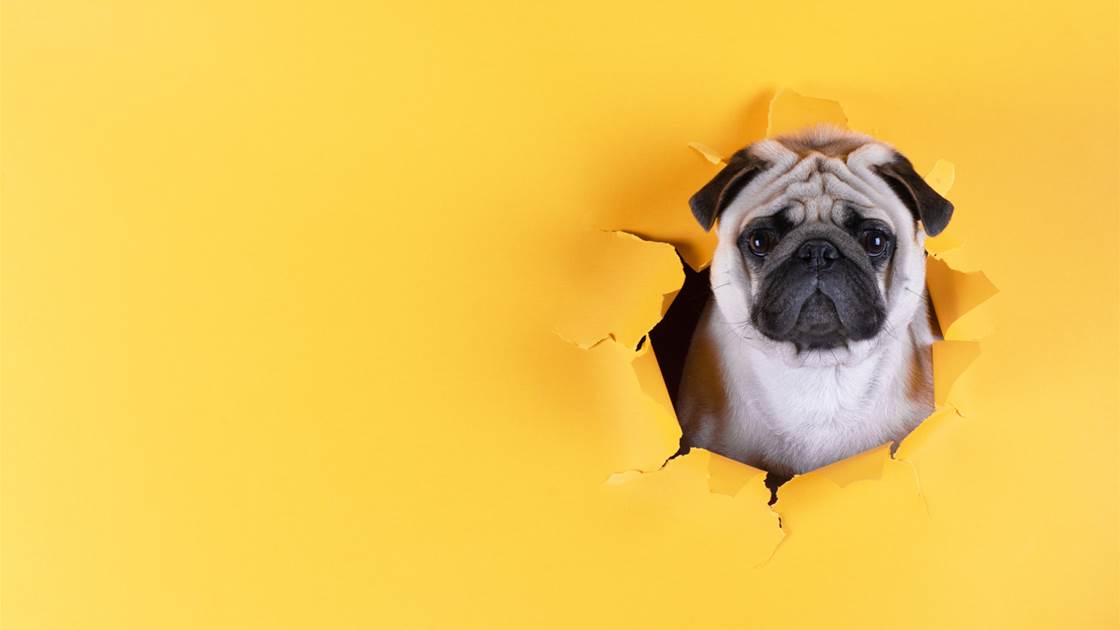 4 Ways To Smooth Stubborn Forehead Lines 4 Ways To Smooth Stubborn Forehead Lines