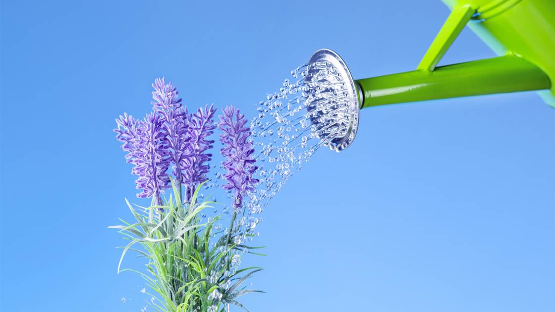 Fussed About Frizz? How to Care for High Porosity Hair Fussed About Frizz? How to Care for High Porosity Hair