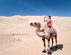 Dehydration Headaches: Spot the Signs, Quench the Thirst!