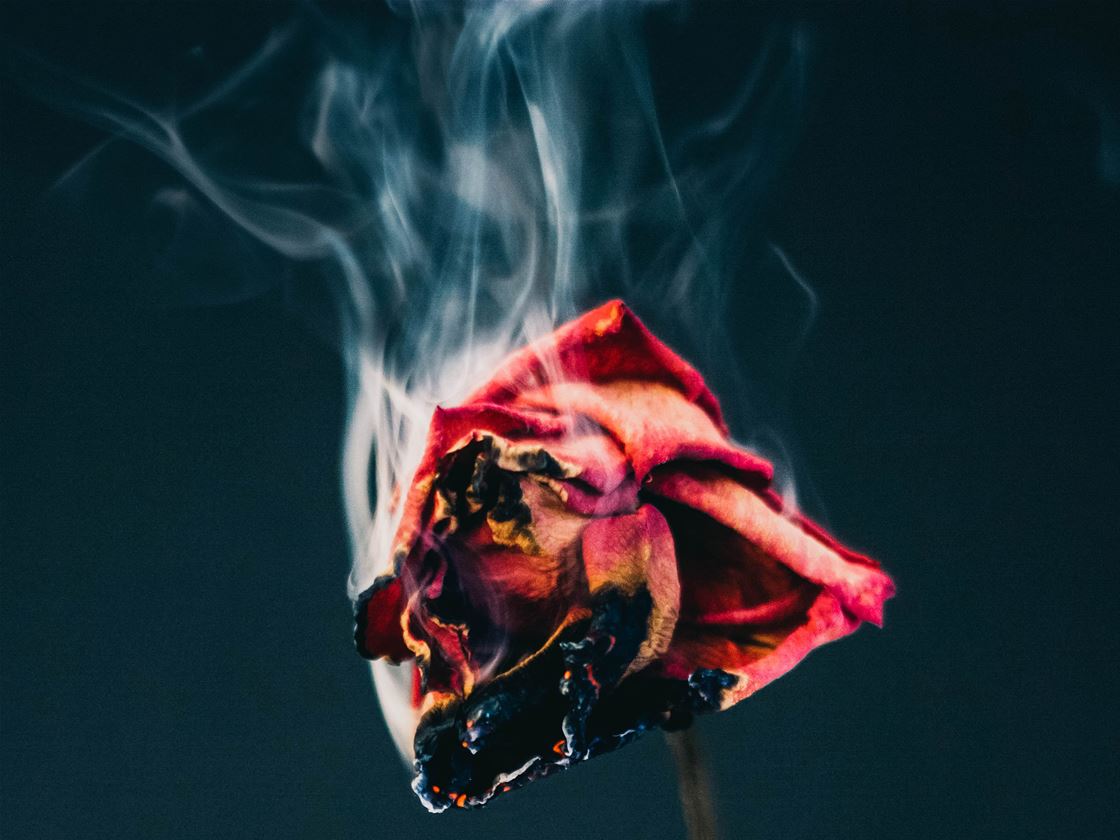 what you can learn from burnout what you can learn from burnout