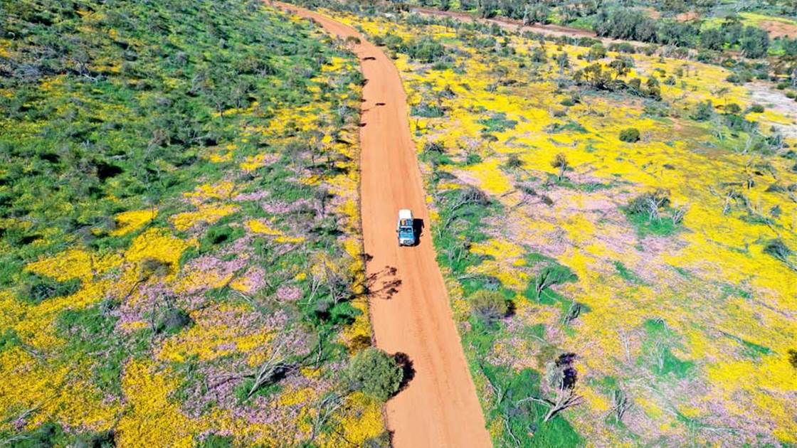 On a road trip on dirt road, with wildflowers carpeting the lanscape On a road trip on dirt road, with wildflowers carpeting the lanscape
